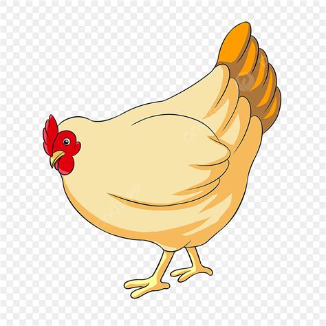 Gambar Ayam Berwarna Warni Melihat Ke Clipart Tanah Ayam Clipart