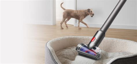 Pet Science | Dyson Australia