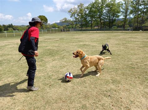 SHOCKING: Fans are Heartbroken After the Jikatabi Leak Surfaces 2