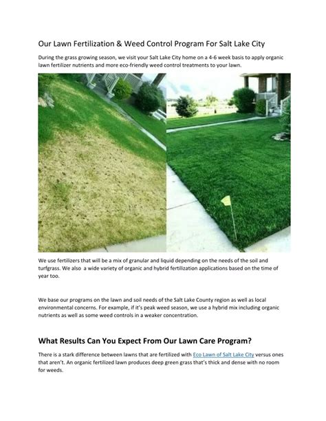 PPT Lawn Fertilization And Weed Control PowerPoint Presentation Free