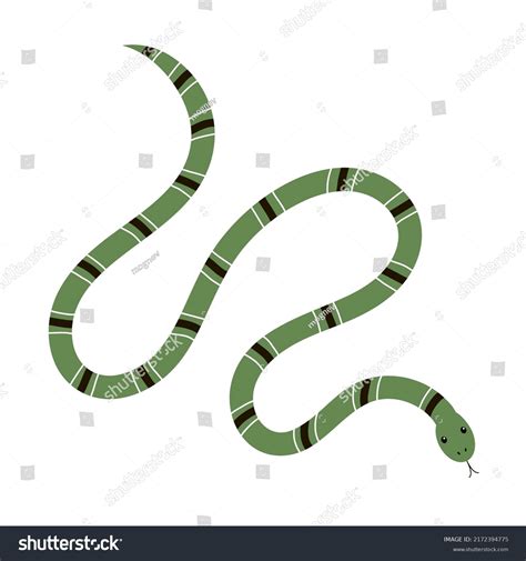 47 427 Snake stripe 图片库存照片和矢量图 Shutterstock