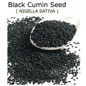 Habbatus Sauda Biji Benih Jintan Hitam Black Seed Planting Shopee