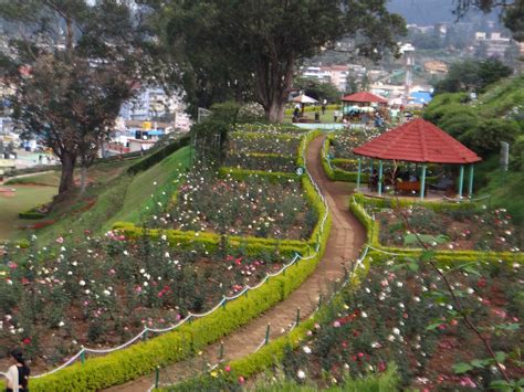 Places To Visit In Ooty Tourist Places Udhagamandalam