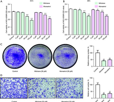 Blocking Kif With Monastrol Inhibits Nci H R Cell Proliferation And