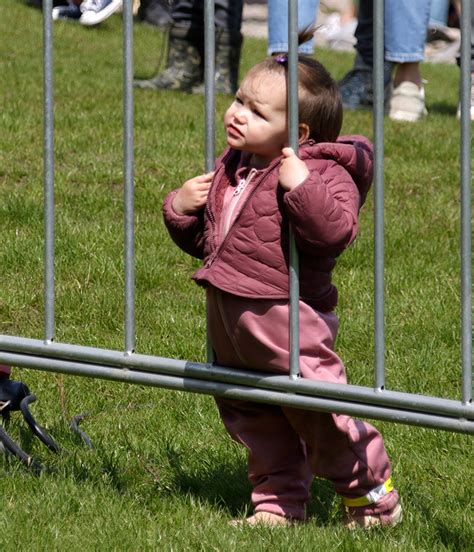 Zwolle Geniet Massaal Van Bevrijdingsfestival Zwollenu