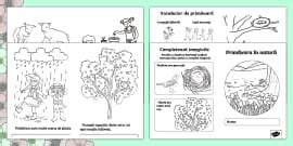 Primăvara Fișă de lucru Hecho por educadores Twinkl