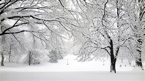 Snow Blizzard, Winter Snow Storm HD wallpaper | Pxfuel