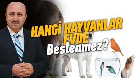 Evde Hayvan Beslemek Abdest Bozar Mı Ömer Döngeloğlu YouTube