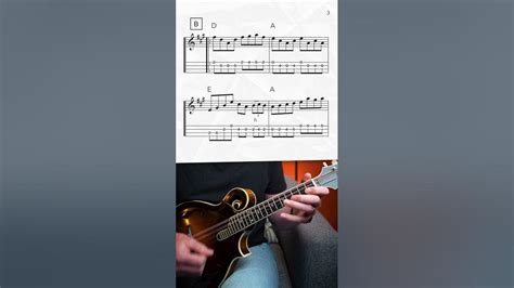 Huckleberry Hornpipe Melody Mandolin Lesson Shorts Youtube