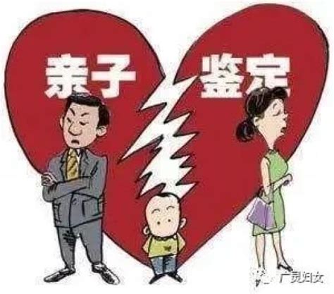 新《民法典》 婚姻家庭编解读（二） 澎湃号·政务 澎湃新闻 The Paper