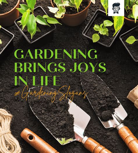 Catchy Home Gardening Slogans Taglines And Phrases Brandboy