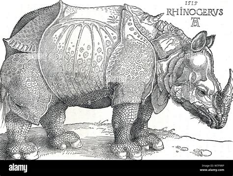 Durer rhinoceros hi-res stock photography and images - Alamy