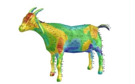 The Aerodynamics Of A Cow - All About Cow Photos