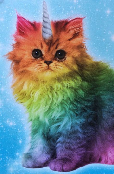 Magical Unicorn Rainbow Kitten Rainbow Kittens Rainbow Cat Unicorn Cat