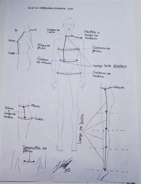 C Mo Tomar Medidas Del Cuerpo Para Hacer Ropa Alejandra Colomera