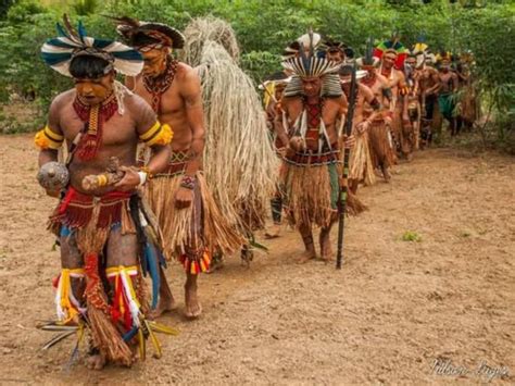 Aldeia Pataxó Promove Festa De Celebração Ao Dia Dos Povos Indígenas