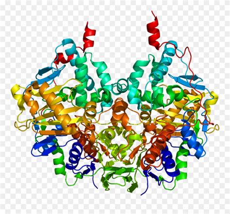 Download Monoamine Oxidase B Structure Clipart (#3834116) - PinClipart