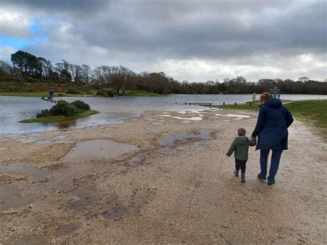 Setley Pond 2nd January 2024 Srcmycsrcmbc