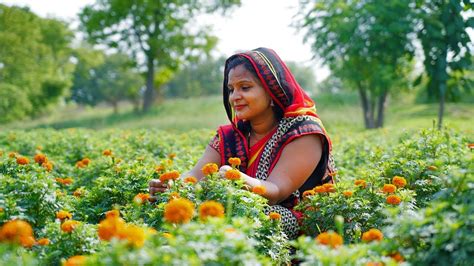 Indian Village Lady Afternoon Evening Routine Kitchen Routine Youtube