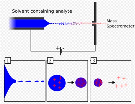 3 Steps in Electrospray Ionization [55] | Download Scientific Diagram