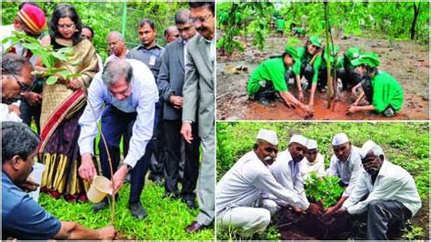 Maharashtra Target Of Planting Crore Trees In State Crossed