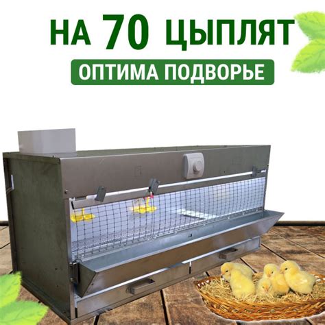 Брудер для 70 цыплят Оптима Стандарт купить на OZON по низкой цене ...