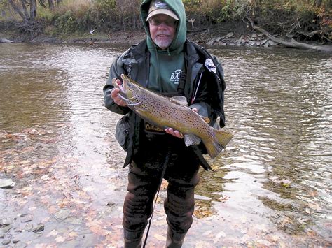 Gallery - Uncle John's Elk Creek Campground