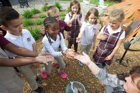 Forest Ridge Academy Offers Stimulating Math Science And Arts Lineup