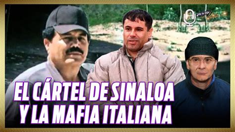 El C Rtel De Sinaloa Y Sus V Nculos Con La Mafia Italiana Youtube