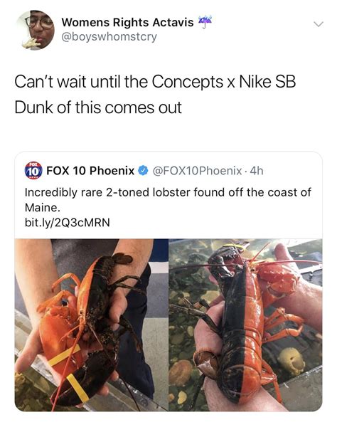 [MEME] Nike SB Dunk Two-Tone Lobster : r/Sneakers