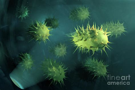 Bacterial Infection Photograph By Thom Leach Science Photo Library