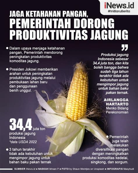 Infografis Jaga Ketahanan Pangan Pemerintah Dorong Produktivitas Jagung