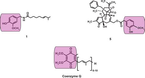 Anticancer Activity Of Region B Capsaicin Analogs Journal Of Medicinal Chemistry