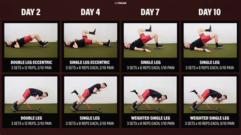 Eccentric Hamstring Exercises Pdf Eoua Blog