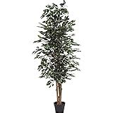 Verdevip Ficus Benjamin Verde Albero Artificiale Da Arredo Interno