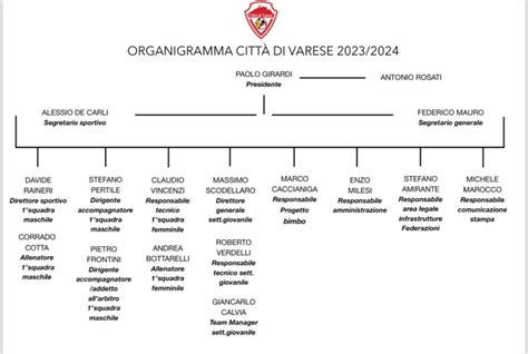 Serie D settore giovanile e assetto societario il Città di Varese