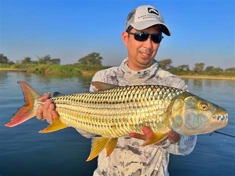 How To Catch African Tigerfish