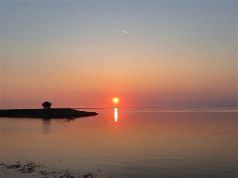 Kats Door Geeske Harkema Kats Prachtige Zonsopkomst Aan D Flickr