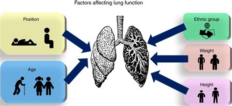 Factors Affecting Lung Function A Review Of The Literature Archivos