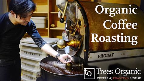 Organic Coffee Roasting Trees Organic Coffee Vancouver YouTube