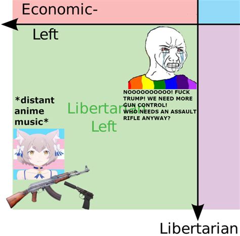 Libleft Vs Libleft R Politicalcompassmemes Political Compass