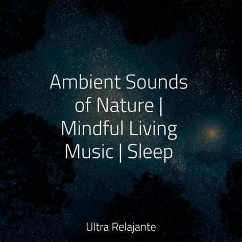 Ambient Sounds Of Nature Mindful Living Music Sleep Album By