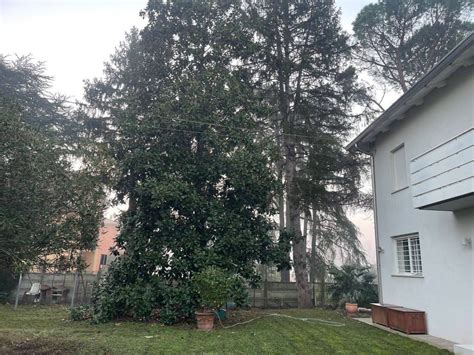 Vendita Terratetto Unifamiliare In Via Giuseppe Mazzini Castel San