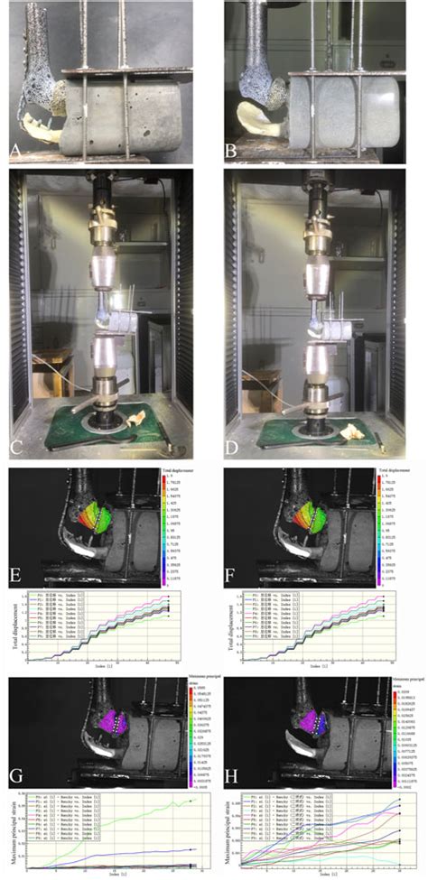 Frontiers Design And Validation Of A Novel 3D Printed Glenohumeral