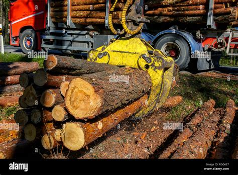 Crane In Forest Loading Logs In The Truck Timber Harvesting And