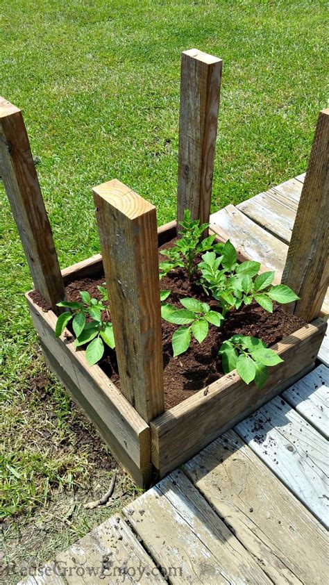 Potato Tower Box - How To Make And Grow In A Potato Tower Box - Reuse ...