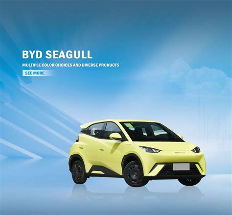 Ev Byd Seagull Freedom Version Km New Energy Vehicle Seats