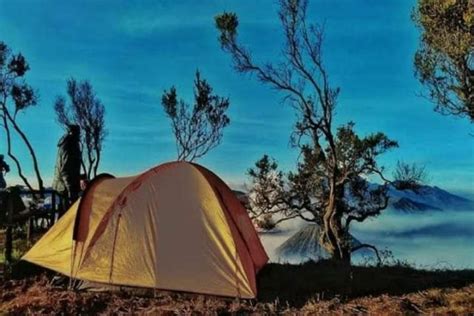 Rekomendasi Camping Ground Terbaik Gunung Bromo Via Pasuruan - Hibur.id