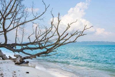 Havelock Island Swaraj Dweep Tourism Andaman And Nicobar A