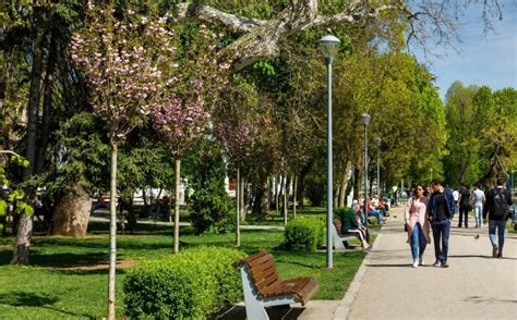 Ziua De Cluj Parcul Central Din Cluj Intr N Antier